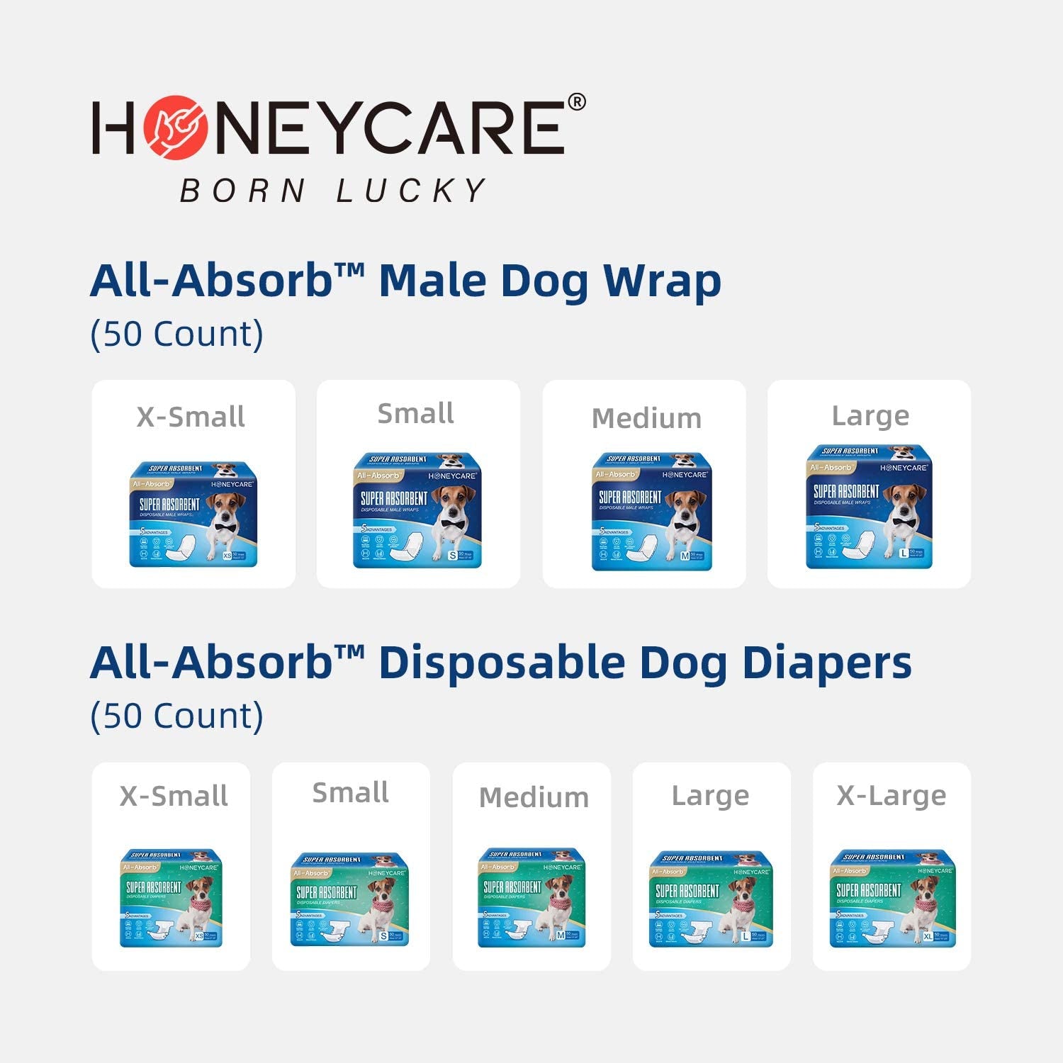 All-Absorb, X-Large 28" X 34", 40 Count, Dog and Puppy Training Pads, Ultra Absorbent and Odor Eliminating, Leak-Proof 5-Layer Potty Training Pads with Quick-Dry Surface, Blue